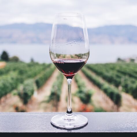 What is the outlook for the non-alcoholic wine industry?