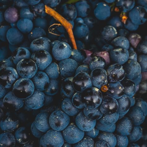 Does non-alcoholic wine have resveratrol in it?
