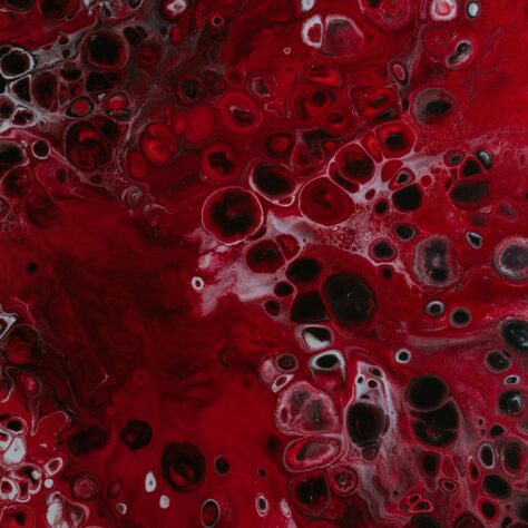 Non-alcoholic beer and blood thinners: your comprehensive guide