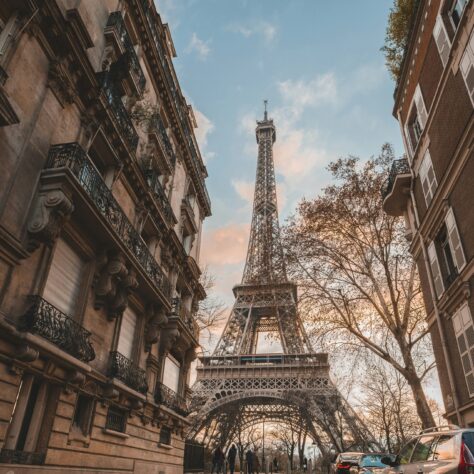 French non-alcoholic wines: 5 to try