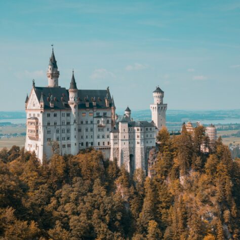 German non-alcoholic wines: 5 to try