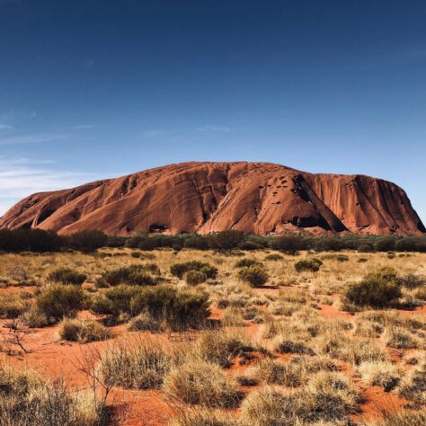 Australian non-alcoholic beers: 5 to try