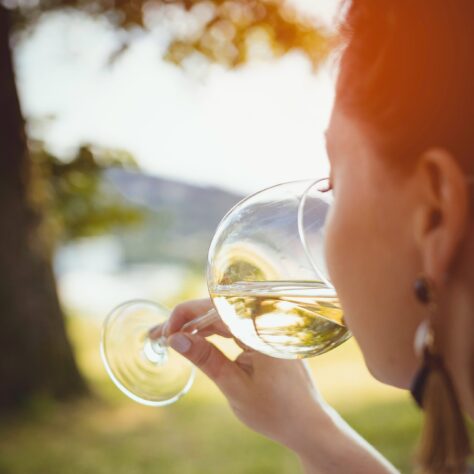 The alcohol placebo effect: do we taste it because we expect to?